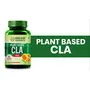 HIMALAYAN Organics Plant Based CLA 1000 Safflower Oil Extract Fat Burner Supplement | Management Lean Muscle Mass | Good For Men And Women -90 Veg Caps., 2 image