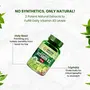 HIMALAYAN Organics Plant-Based Vitamin B3 | Supports Healthy Skin and 120 Caps., 5 image