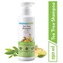 Mamaearth Tea Tree Anti Dandruff Shampoo With Tea Tree & Ginger Oil 250ml, 4 image