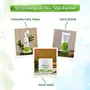 Mamaearth Tea Tree Nourishing Bathing Soap With Tea Tree and Neem for Skin Purification (Tea Tree) 390 g, 6 image