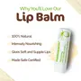 Mamaearth Nourishing 100% Natural Lip Balm with Vitamin E and Shea Butter 4 g - (Pack Of 2), 4 image