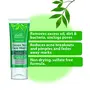 Iba Advanced Activs Crystal Clear Green Tea Face Wash l High Foam l For Oily Combination & Acne Prone Skin, 4 image