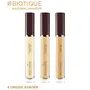 Biotique Natural Makeup Diva Secret Cover Care Concealer Golden Honey 3.5ml, 4 image