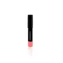 COLORESSENCE High Pigment Matte Lip Pencil Vitamins and Oxidant Infused 12 Hour Long Stay Smudge Proof Waterproof Lips Crayon - Mistress, 2 image