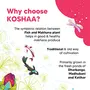 Koshaa Foods Popular Pokhar Phool Makhana/Fox Nut, 250g, Natural and Vegan Superfood, 3 image