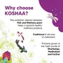 Koshaa Foods Gourmet Pokhar Phool Makhana/Fox Nut, 500g, (Combo Pack of 2, 250g each), Natural and Vegan Superfood, 3 image