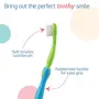LuvLap 4 Stage Baby Oral Care Set for infant baby Toddler & Kids' primary teeth & gums Infant Gum Massager 2 Toddler brushes One Training toothbrush BPA Free New Born to 60months, 6 image