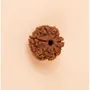 Authentic Isha Shanmukhi (six faced) Rudraksha Bead. Consecrated single bead for children below 14 years of age., 2 image