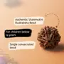 Authentic Isha Shanmukhi (six faced) Rudraksha Bead. Consecrated single bead for children below 14 years of age., 4 image
