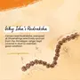 Authentic Isha Panchamukhi (five-faced) Rudraksha Mala. Consecrated at Dhyanalinga. Your cocoon of energy (8 mm), 4 image