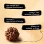 Authentic Isha Shanmukhi (six faced) Rudraksha Bead. Consecrated single bead for children below 14 years of age., 6 image