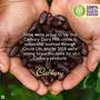 Cadbury Dairy Milk Chocolate Bar 55 g Maha Pack (Pack of 15), 6 image