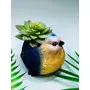 Festive Vibes Resin Bird Face Succulent Planter Pot (Plant Not Included) with Drainage Hole for Home Office Decor Multicolour Size : 4 Inches.