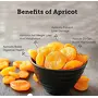 Namo Organics - Dried Apricots Turkish - 500g in Resealable Bag - Seedless | No added Sugar | Khumani Sweet Dry Fruits | Healthy Snack, 5 image