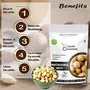 Namo Organics - Raw Macadamia Nuts - 100 Gm - Unsalted| All-Natural itive-Free Healthy Snack (100 Gm), 2 image