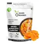 Namo Organics - Dried Apricots Turkish - 500g in Resealable Bag - Seedless | No added Sugar | Khumani Sweet Dry Fruits | Healthy Snack
