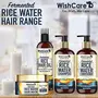 WishCare Fermented Rice Water Hair Fancy CoverFor Dry & Frizzy Hair - Strength & Growth Formula - Free from Mineral Oils Sulphates & Paraben - For All Hair Types - 200 Ml, 7 image