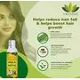 Vriddhi Amla Hair Oil with Methi & Curry Leaves - Ayurvedic Hair Oil for Hair Fall Dandruff Promotes Hair Growth Healthy Scalp - 200ml, 4 image