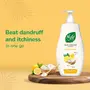 Nyle NaturAnti Dandruff Shampoo With Lemon And Curd Gentle and soft shampoo PH balanced and For Men and Women800ml, 4 image