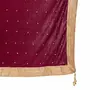 Traditions Bazaar Women's Velvet Embellished Dupatta (1Pc Dupatta Only 30 Inches x 2.25 MTRS), 5 image