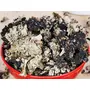 Namo Organics - Stone Flower Spices - 50 Gm - (Dagad Phool Kalpasi Patthar Ke Phool) for biryani, 3 image