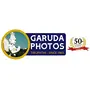 Garuda Photos - God Sri Gau Matha Kuberan Astha Lakshmi Photo Frame Kuber Kubera bhagwan (Lakshmi Kubera / Kubera Lakshmi Photo Frame) (Small 9 X 7 Inch), 6 image