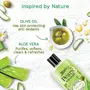 Pears Naturale Aloe Vera Body Wash 250 ml 100% Natural Ingredients Liquid Shower Gel with Olive Oil for Glowing Skin - , 7 image