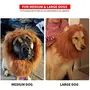 Dog Lion Mane Funny Headwear for Lion Mane for Dogs Lion Hair Ear Headwear for Dog Halloween Party Festival Headwear, 6 image