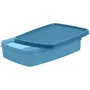 SIGNORA WARE Signoraware Crispy Slim Box Container 850ml T Blue, 3 image
