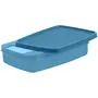 SIGNORA WARE Signoraware Crispy Slim Box Container 850ml T Blue, 4 image