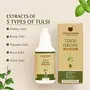UPAKARMA Ayurveda Tulsi Drops Ayurvedic Herb Concentrated Extract of 5 Rare Tulsi for Natural Immunity Boosting Cough and Cold Relief - 30ml, 3 image