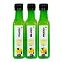 Fruitaco Lemon Juice Concentrate 750 ml (250ml x 3)