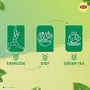 Lipton Honey Lemon Green Tea Bags 100 pcs All Natural Flavour Zero Calories - Improves Metabolism & Reduces Waist, 6 image