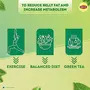Lipton Clear & Light Green Tea Bags 100 pcs, 7 image