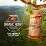 Dabur Organic Honey -500 gm, 3 image