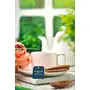 Goodwyn Peppermint Tea Herbal Tea to Refresh and Rejuvenate 100 Tea Bags, 6 image