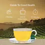VAHDAM - Organic Spiced Turmeric Tea | USDA Organic Certified 15 Turmeric Tea Bags | Blend of Turmeric Powder & Fresh Spices | Herbal Tea for Weight Loss | 100% Natural Detox, 6 image