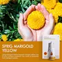 Sprig Natural Extracts for Colouring Food and Beverage | Made from Real Marigold Petals| Bright Yellow Colour | Plant-based Natural Food Colour | Edible| Use for Baking Add color to Cake Icing Pastries Sweets Gravy | Vegan | No Chemical additives | 15 ml, 6 image
