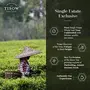 TISOW Gold Select 500gm | Blend of Upper Assam & Organic Darjeeling | Single Estate Teas | Strong and Kadak Chai | 250 Cups, 6 image
