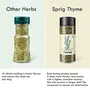 SPRIG Thyme Herb | Thyme Seasoning |Crushed Dried Thyme for Cooking | Thyme Spice Sprinkler |No Preservatives | No Fillers or Additives | No Anti-caking Agents | No MSG | 10gm, 4 image