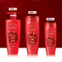 L'Oreal Paris Colour Protect Protecting Shampoo 175ml, 7 image