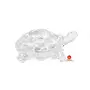 Saudeep India Vastu Feng Shui Crystal Turtle Tortoise with Plate for Good Luck Feng Shui Tortoise Turtle (Export Quality), 4 image