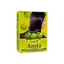 Hesh Pharma Amla Hair Powder 3.5oz. 100g (Pack of 2), 4 image