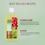 Just Herbs Tea Tree Anti - Acne Body Wash with Plant Salicylic Acid for Men & Women 10.14 fl. oz, 4 image