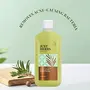 Just Herbs Tea Tree Anti - Acne Body Wash with Plant Salicylic Acid for Men & Women 10.14 fl. oz, 5 image