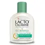 Pack of 4 - Lacto Calamine Skin Balance Oil Control With Kaolin + Aloevera Daily Nourishing Lotion 120ml, 4 image