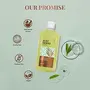 Just Herbs Tea Tree Anti - Acne Body Wash with Plant Salicylic Acid for Men & Women 10.14 fl. oz, 6 image