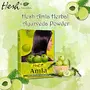 Hesh Pharma Amla Hair Powder 3.5oz. 100g (Pack of 2), 2 image