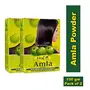 Hesh Pharma Amla Hair Powder 3.5oz. 100g (Pack of 2), 3 image