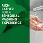 Dettol Liquid Handwash (Original) - 200 ml with Free Dettol Liquid Handwash Refill- 175 ml, 4 image